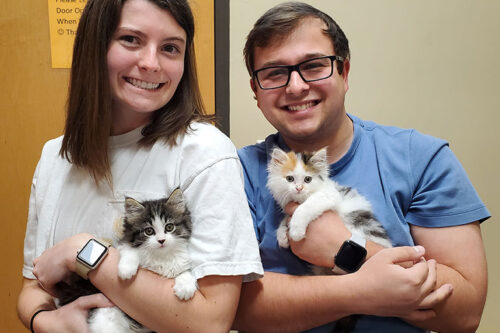 A young woman and a young man smiling, and each of them is holding a kitty